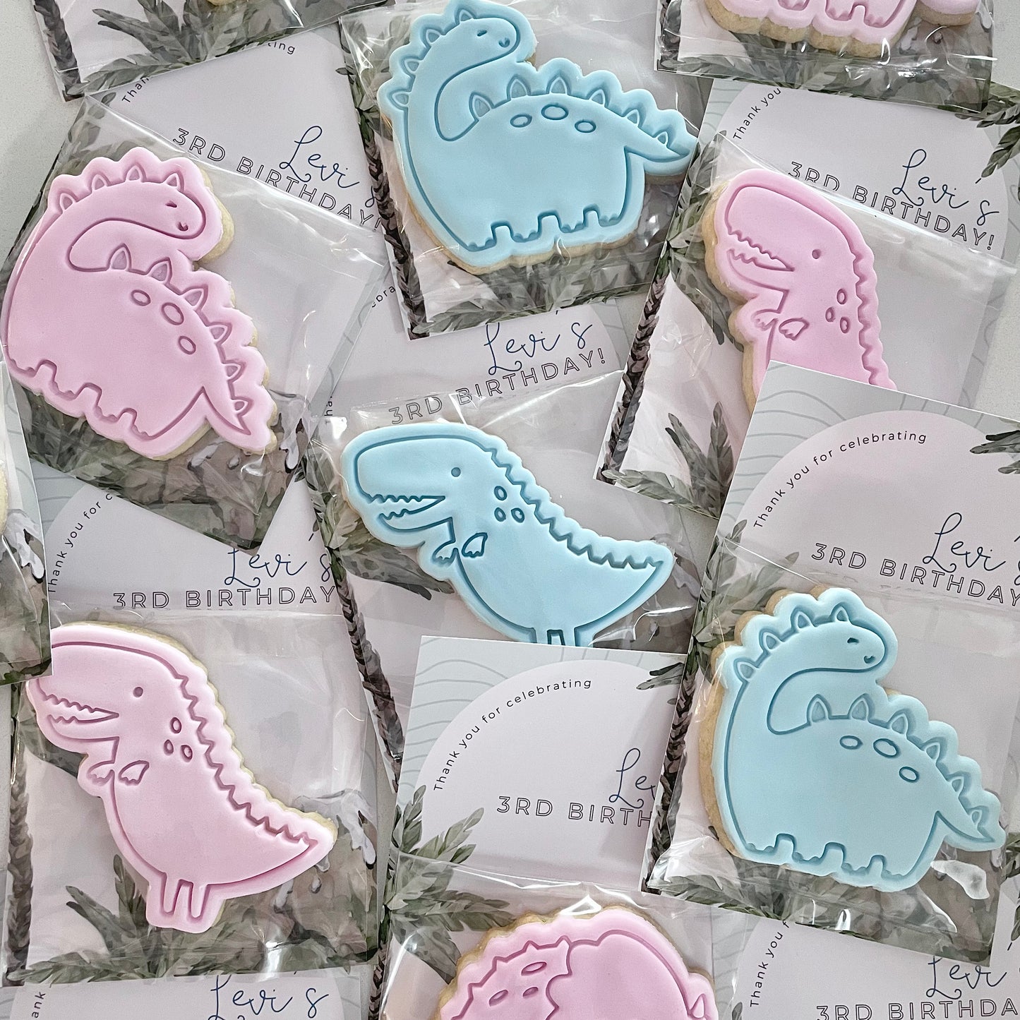 Dinosaur Party Favours