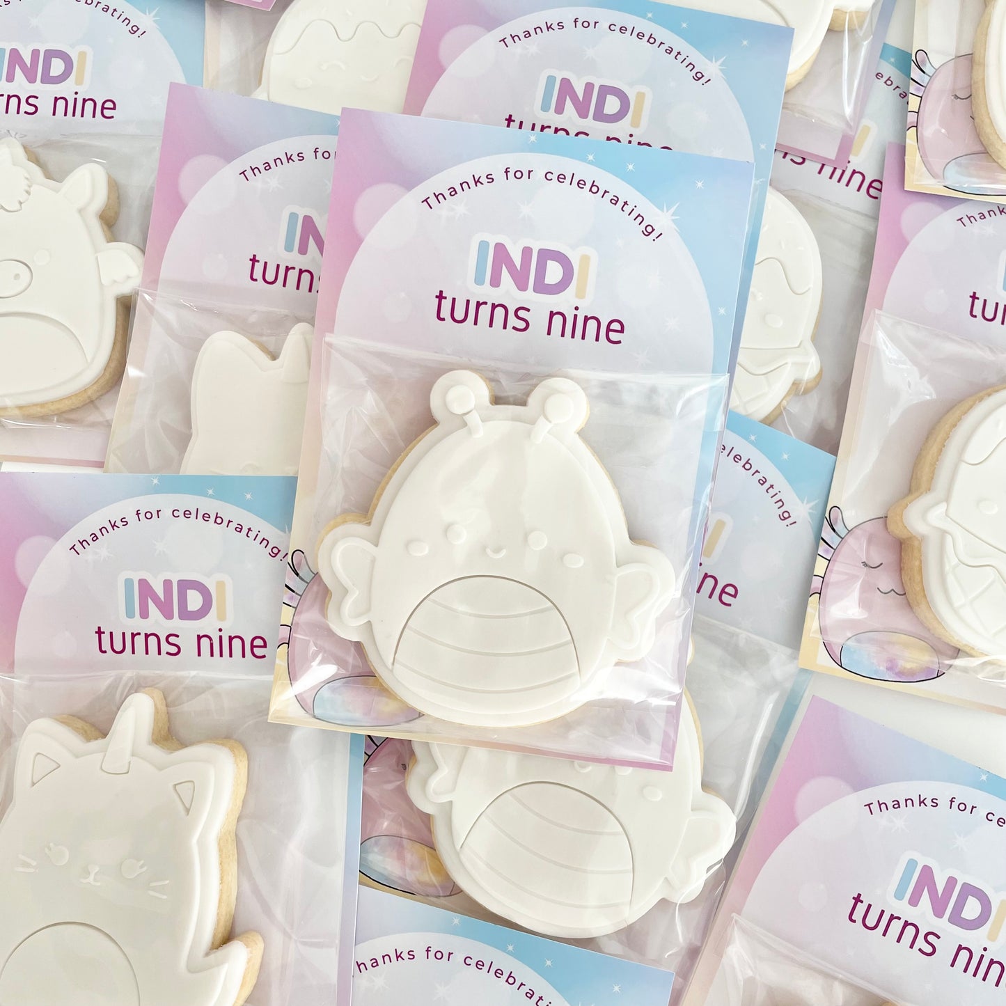 Squishmallow Paint Your Own Party Favours