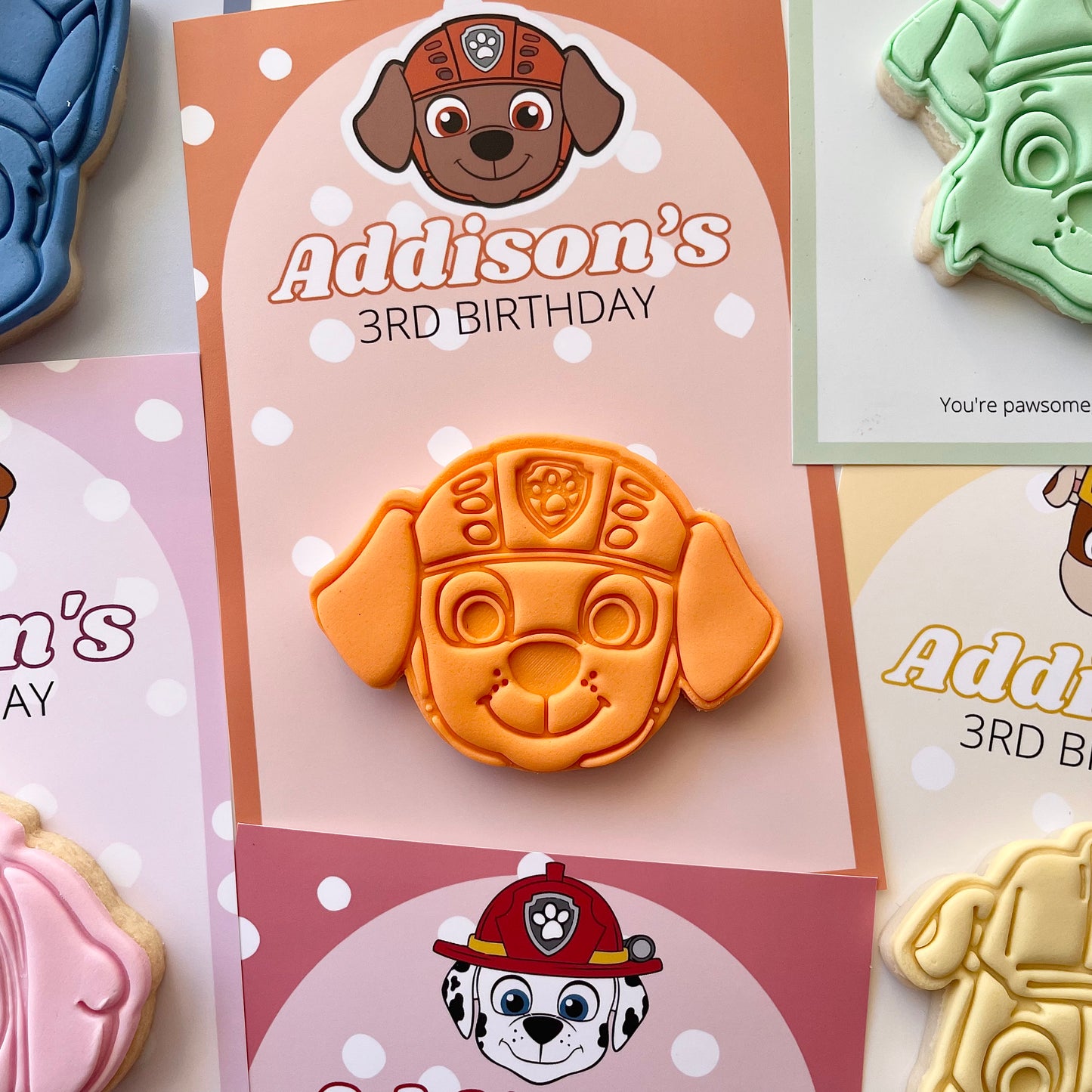 Paw Patrol Party Favours