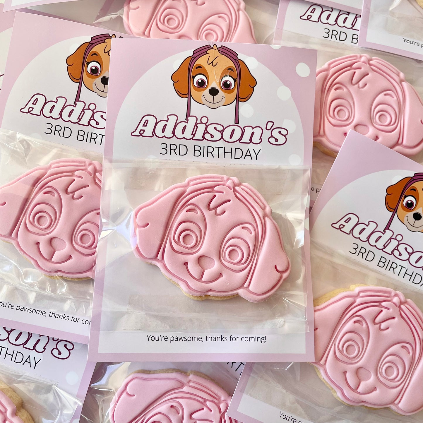 Paw Patrol Party Favours