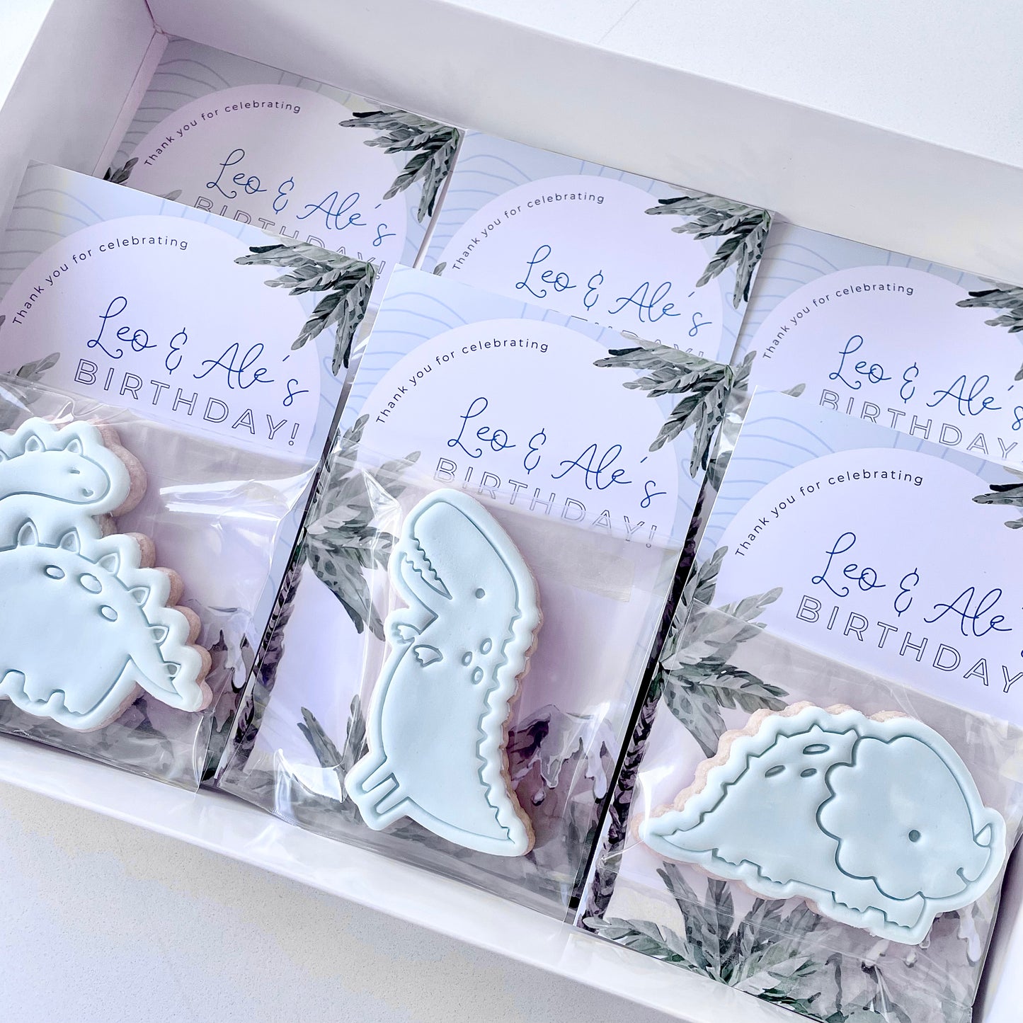 Dinosaur Party Favours