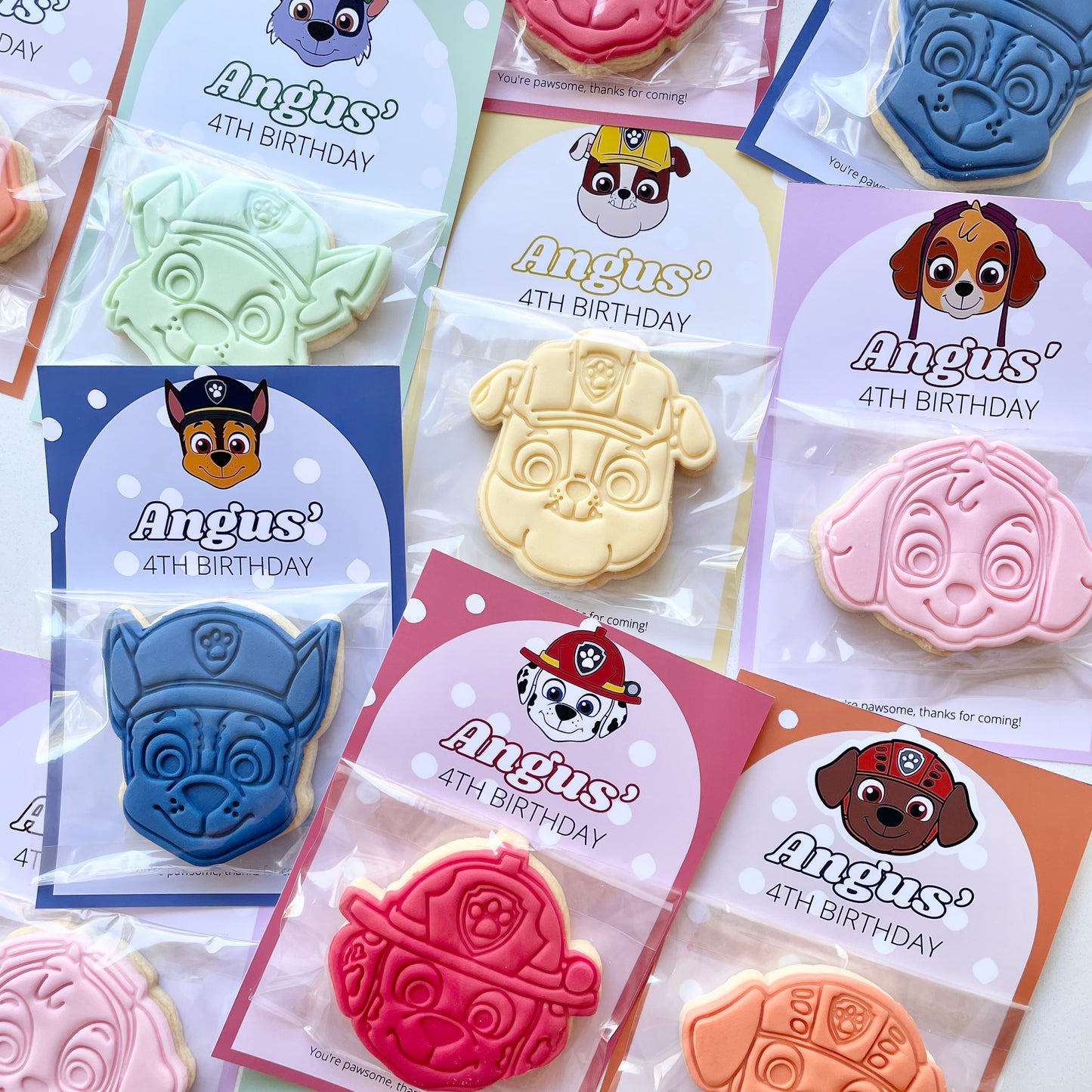 Paw Patrol Party Favours