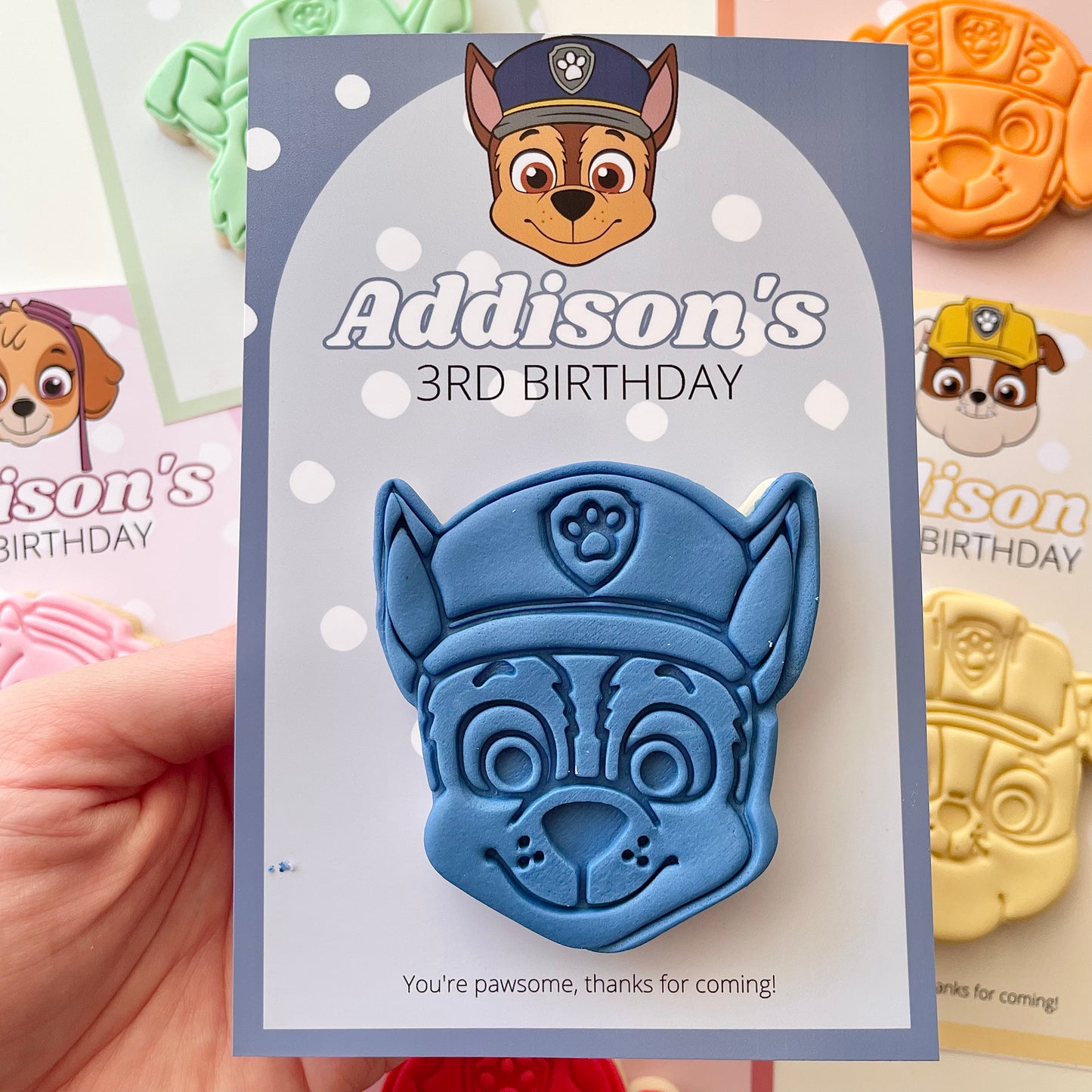 Paw Patrol Party Favours