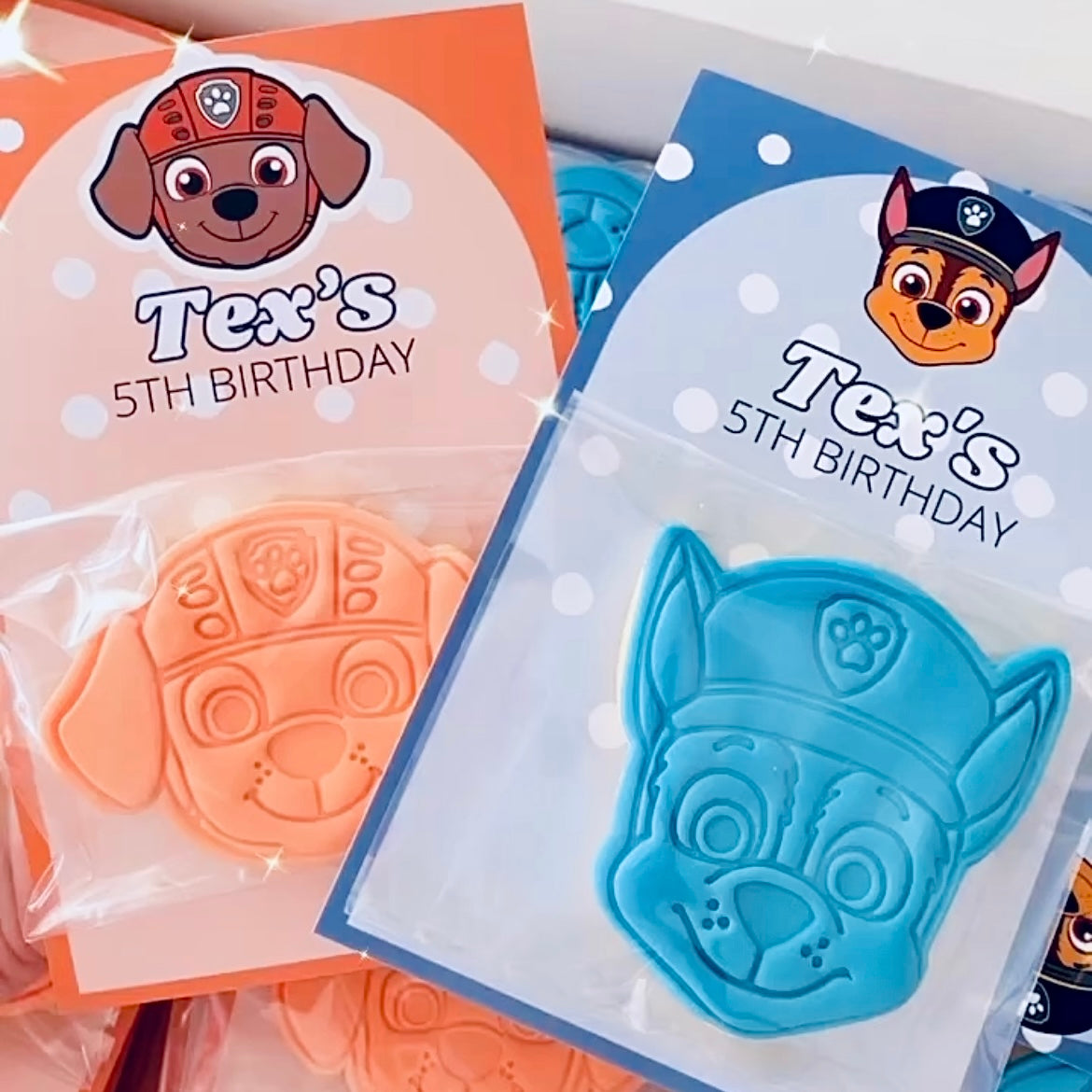 Paw Patrol Party Favours