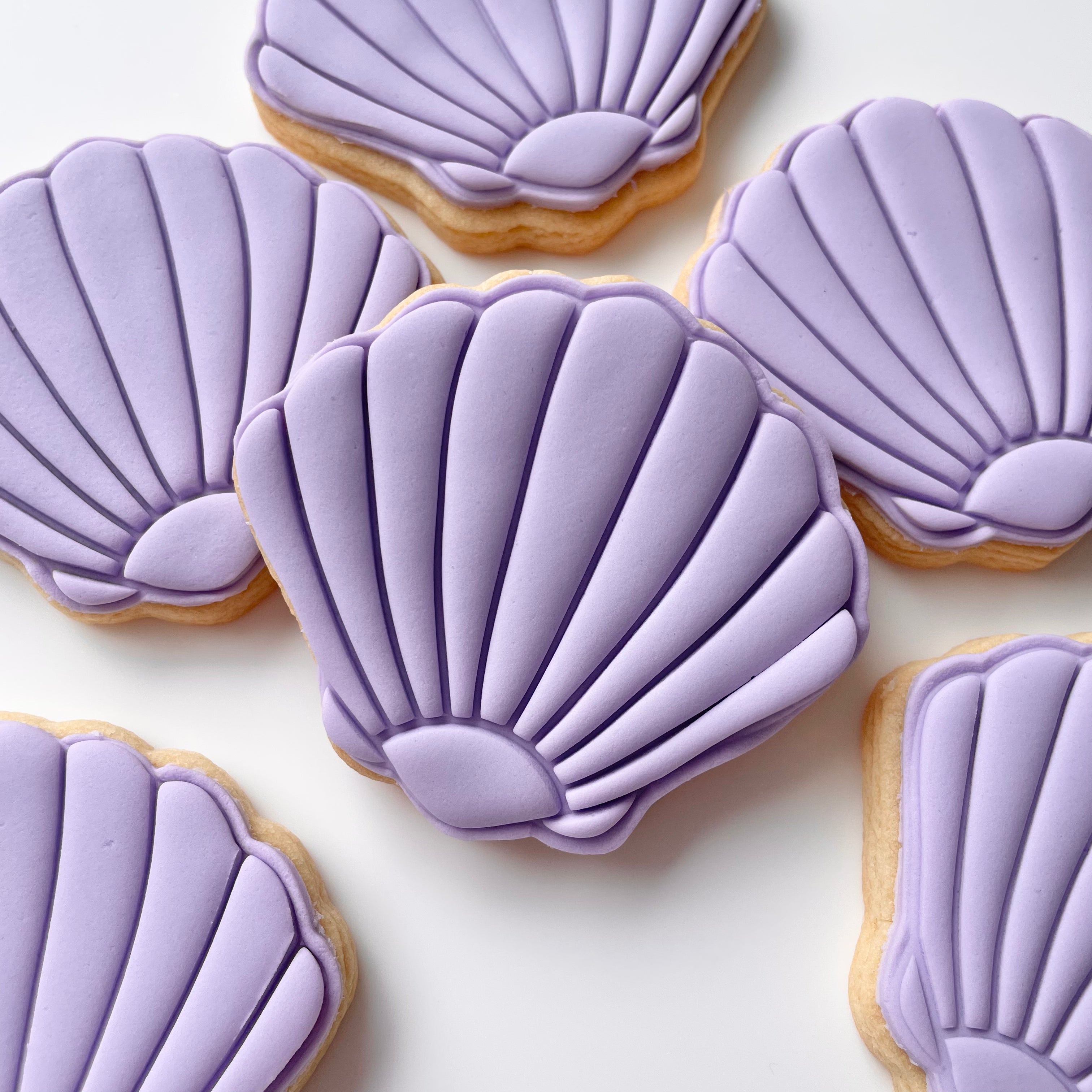 Shell Cookies 12 Pack – Stevie Cookie Co